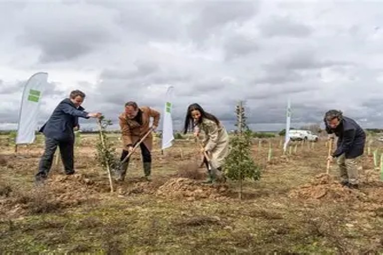 Campaña para plantar 10,000 árboles en la Comunidad de Madrid
